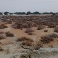 150متر-زمین-فروشی-در-روستای-ناصرآبادبهترین-جا