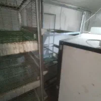 دستگاه جوجه کشی و قفس