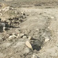 زمین کشاورزی