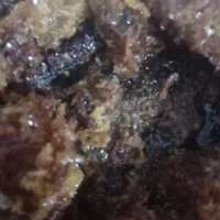 عسل کوهی