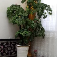 درخچه مصنوعی