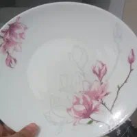 آرکوپال