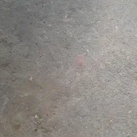 مدارک گم شده به نام مهدی احمدی