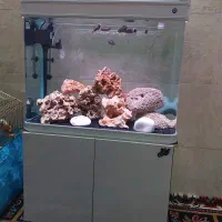 اکواریوم  k800