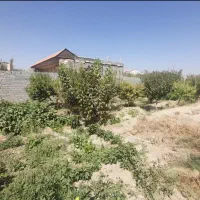 باغ ۴ دیواری ۱۰۰۰ متری|فروش خانه و ویلا|صباشهر, |دیوار