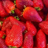 نیروی ماهر میوه فروشی