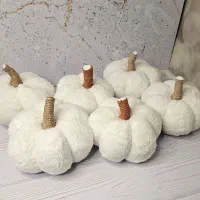 کوسن|صنایع دستی و سایر لوازم تزئینی|شیراز, ریشمک|دیوار