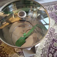 سبزی خردکن نونو|خردکن، آسیاب، غذاساز|مشهد, یاس|دیوار