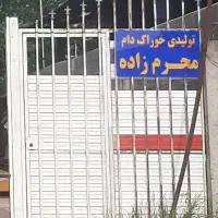 استخدام نیروی کار