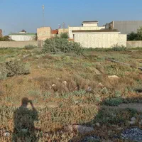 زمین مسکونی دور میدان زندگی