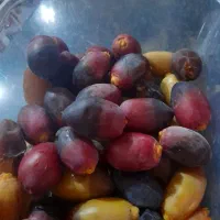 رطب خنیزی