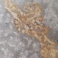سلام من در خونه خودم پتو فرش پشم گوسفند میشورم