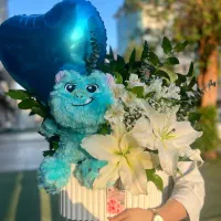 گل ارای باکس نوازدی