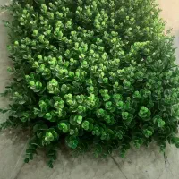 گرینوال در حد