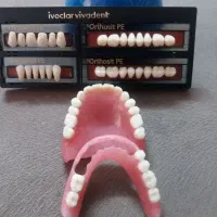 ساخت و تعمیر انواع پروتز های متحرک (دندان مصنوعی)