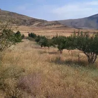 یک هکتار باغ ۱۱ ساله با سند ششدانگ|فروش دفتر صنعتی، کشاورزی، تجاری|گرمی, |دیوار