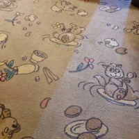 موکت پالاز|موکت|اصفهان, آبشار|دیوار