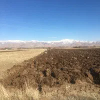 اجاره زمین کشاورزی ۶ هکتار و ۱۸ ساعت آب چاه