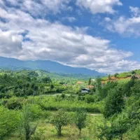 فروش زمین ساحلی۳۰۰۰ متری واقع در عسکرآباد