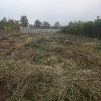 ۲۸۷مترزمین مسکونی پروانه ساخت|فروش زمین و ملک کلنگی|صومعهسرا, |دیوار