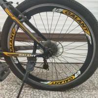 دوچرخه|دوچرخه، اسکیت، اسکوتر|رشت, فلسطین|دیوار