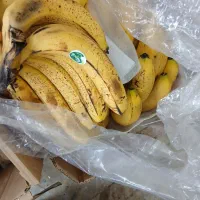 میوه فروشی حاجی ارزونی واقعی|خوردنی و آشامیدنی|شهریار, شهرک بهاران (ویره)|دیوار