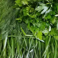 سبزی تازه و خوش عطر