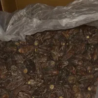 خرمای ربی اعلا به صورت تنی و عمده