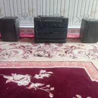 ضبط