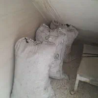 ذغال درختی فروشی