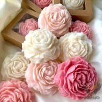 رهنمایی  شمع|فعالیت داوطلبانه|قم, ناصردیوان|دیوار