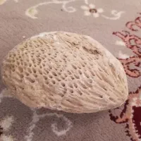 سنگ قیمتی