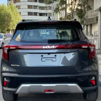 کیا سلتوس