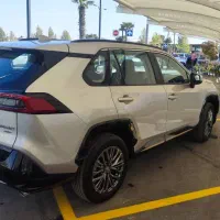 وایلندر ۲۰۲۵