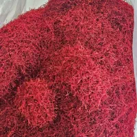 زعفران /اصل قاعنات/سرگل/بدون واسطه|خوردنی و آشامیدنی|تهران, تهرانپارس جنوبی|دیوار