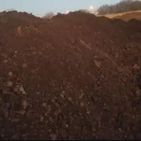 کود حیوانی چند ساله|خدمات باغبانی و درختکاری|فیروزآباد (لرستان), |دیوار