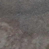 کود حیوانی|لوازم جانبی حیوانات|تبریز, |دیوار