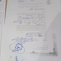 زمین مسکونی باغی|فروش زمین و ملک کلنگی|تالش, جوکندان|دیوار