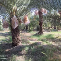 سیم کارت