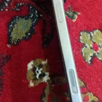 ایفون ۱۶ فول کپی نونو|موبایل|دزفول, |دیوار