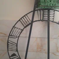 پایه گل|گل و گیاه طبیعی|تهران, شکوفه|دیوار
