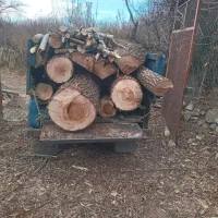 خرید انواع چوب