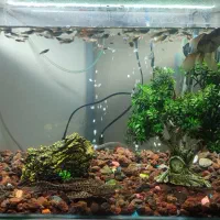 دو عدد شیشه اکواریوم