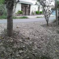 فروش زمین با نامه مسکونی بنیاد، خمام خواجکین|فروش زمین و ملک کلنگی|خمام, |دیوار