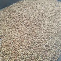 لیمو خشک|خوردنی و آشامیدنی|باشت, |دیوار