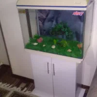 زیبا وتمیز با پایه درحد نو بادماسنج دیجیتالی درب|ماهی|تهران, گلچین|دیوار