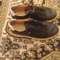 کفش چرم ۴۳|کیف، کفش، کمربند|پرند, فاز ۵|دیوار