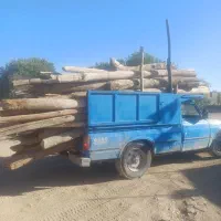 خرید چوب های باغی و میوه ای|خدمات باغبانی و درختکاری|ملایر, |دیوار