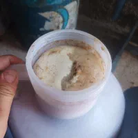 عسـل کنار و عسل گون