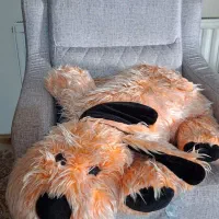 ۷ عدد عروسک|اسباب‌‌بازی|کرج, عظیمیه|دیوار